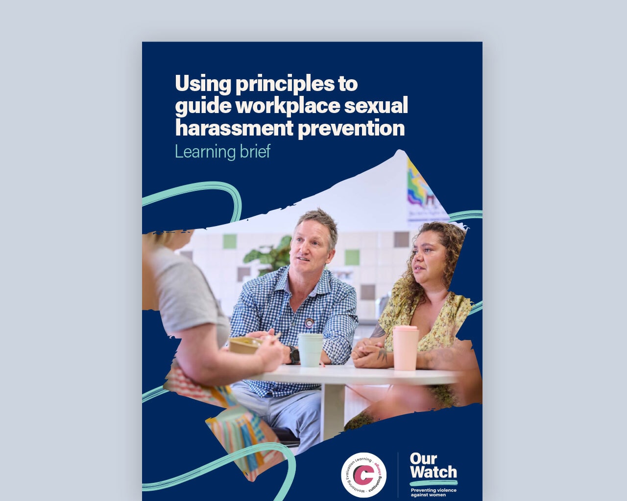 Using principles to guide workplace sexual harassment prevention – learning brief